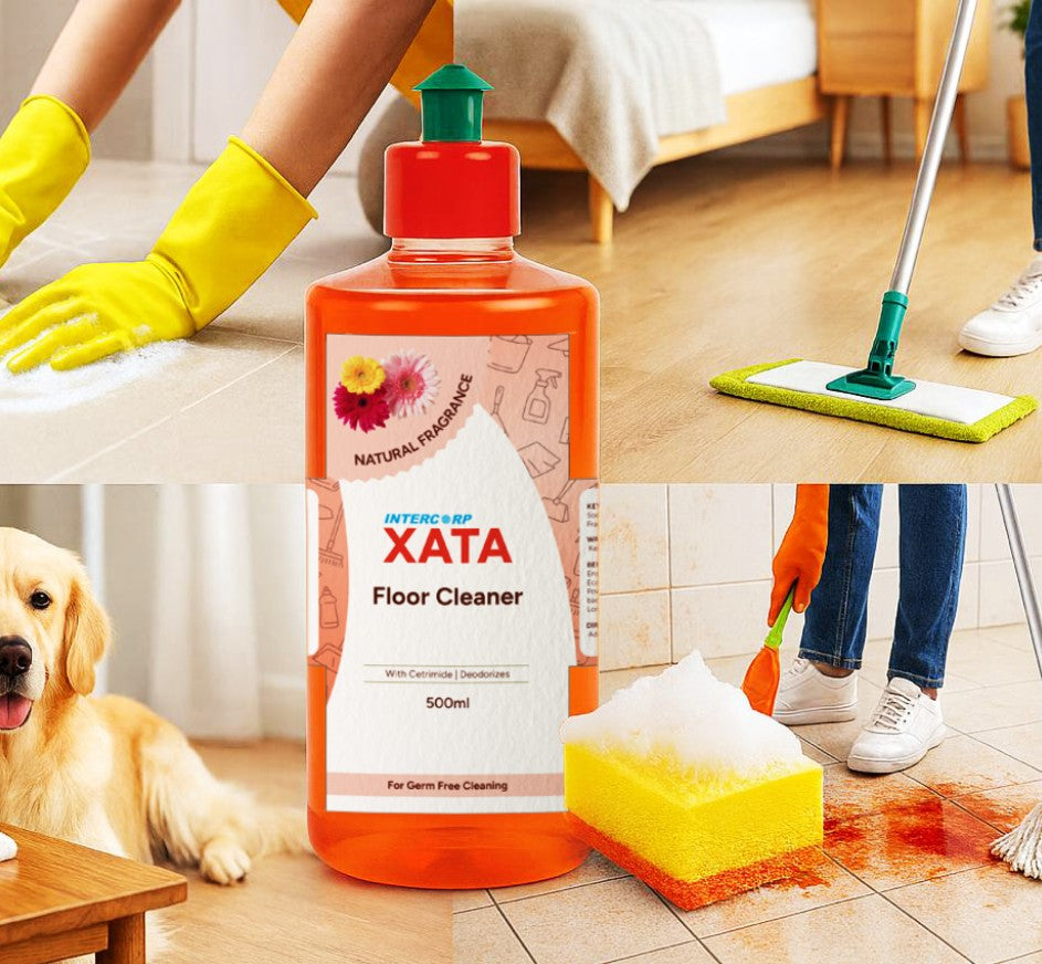 Made for Every Corner of Your Home